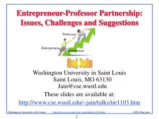 Entrepreneur-Professor Partnership: Issues, Challenges and Suggestions