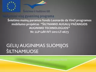 g li auginimas suomijos iltnamiuose