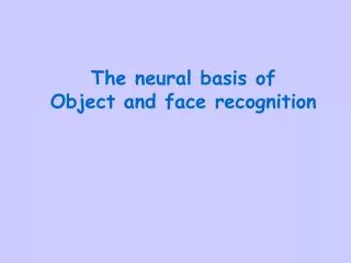 The neural basis of Object and face recognition