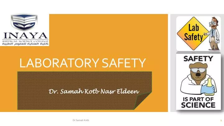 PPT - LABORATORY SAFETY PowerPoint Presentation, Free Download - ID:6179549