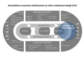 ammatillisen osaamisen kehittyminen ja siihen vaikuttavat tekij t tay
