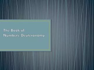 The Book of Numbers/Deuteronomy