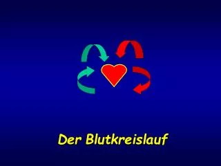 der blutkreislauf