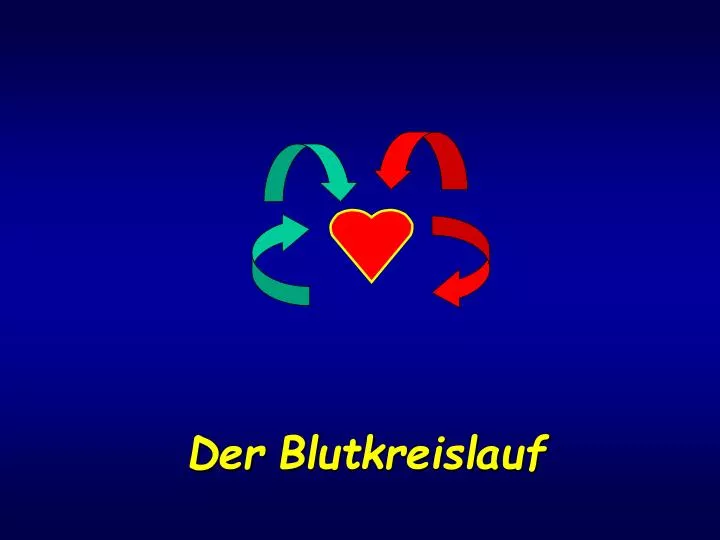 der blutkreislauf