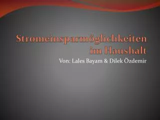 von lales bayam dilek zdemir