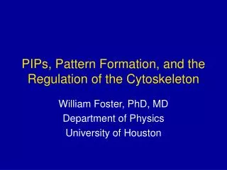 PIPs, Pattern Formation, and the Regulation of the Cytoskeleton