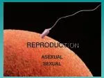 REPRODUCTION - slide 1