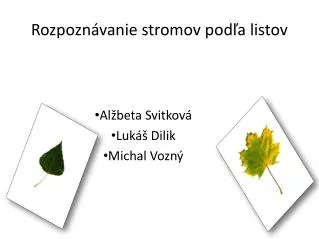 al beta svitkov luk dilik michal vozn