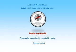 punim seminarik