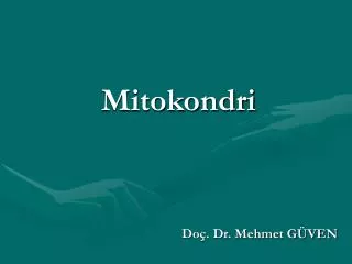 mitokondri