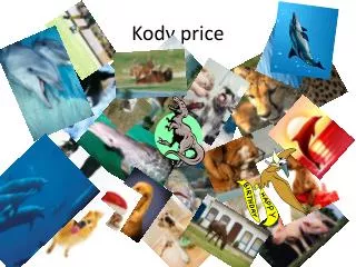 Kody price