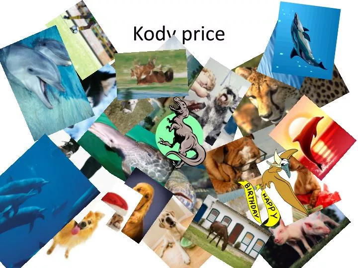 kody price