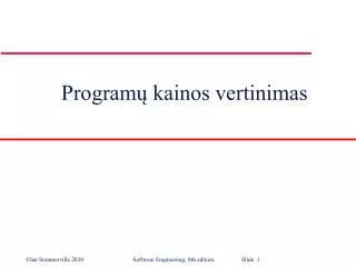 program kainos vertinimas