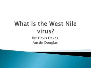 What is the West Nile virus?