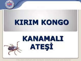 kirim kongo kanamali ate