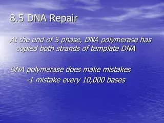 8.5 DNA Repair
