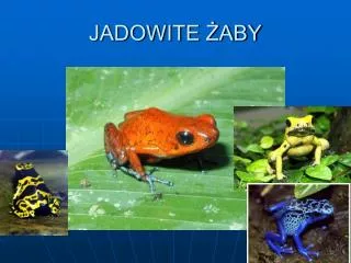 jadowite aby