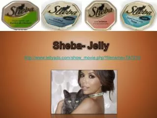 Sheba- Jelly