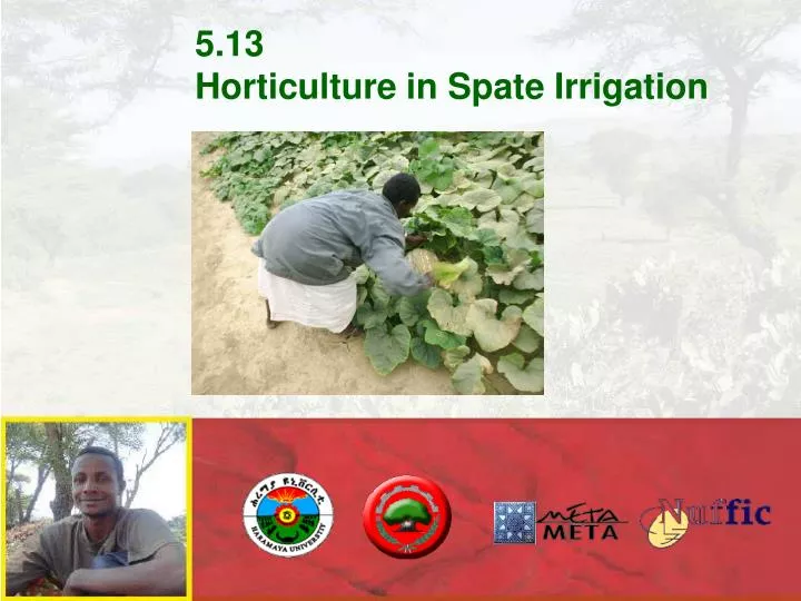 5 13 horticulture in spate irrigation
