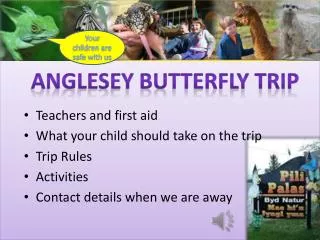 Teachers and first aid What your child should take on the trip Trip Rules Activities