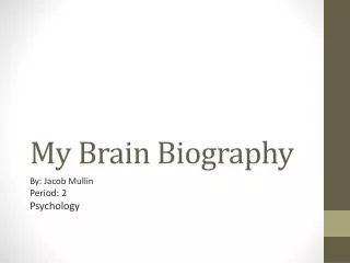 My Brain Biography