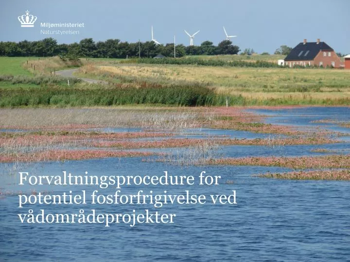 forvaltningsprocedure for potentiel fosforfrigivelse ved v domr deprojekter