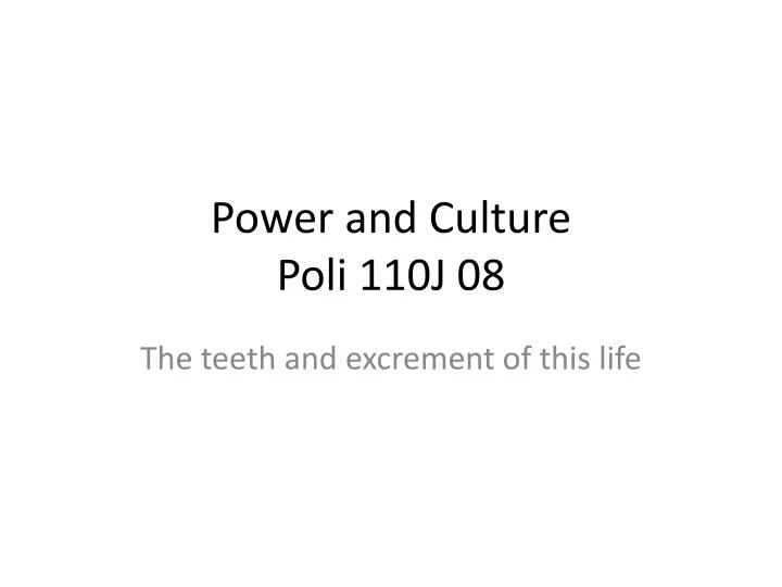 power and culture poli 110j 08