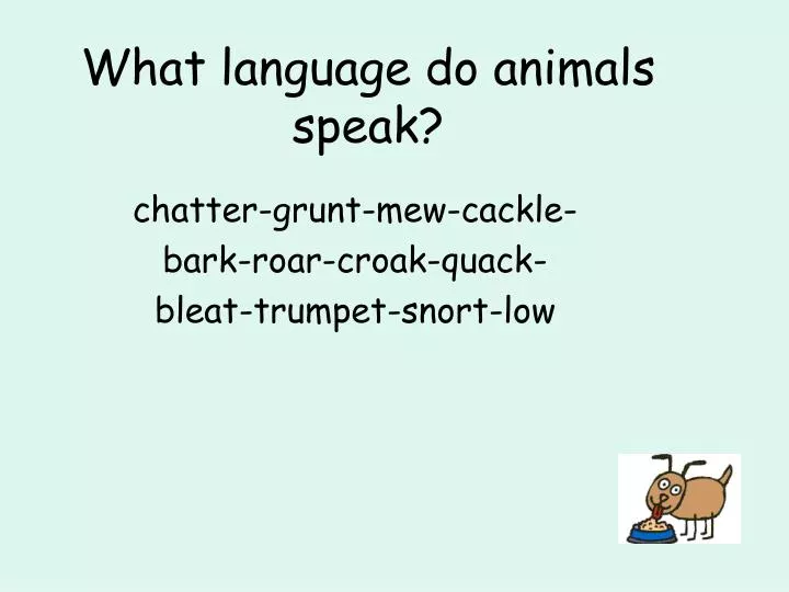 what language do animals speak