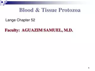 Blood &amp; Tissue Protozoa 	Lange Chapter 52 Faculty: AGUAZIM SAMUEL, M.D.