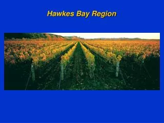 Hawkes Bay Region