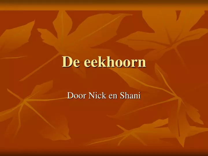 de eekhoorn