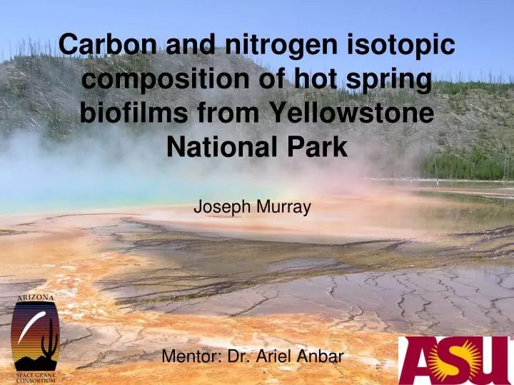 carbon and nitrogen isotopic composition of hot spring biofilms from yellowstone national park
