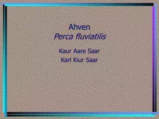 ahven perca fluviatilis