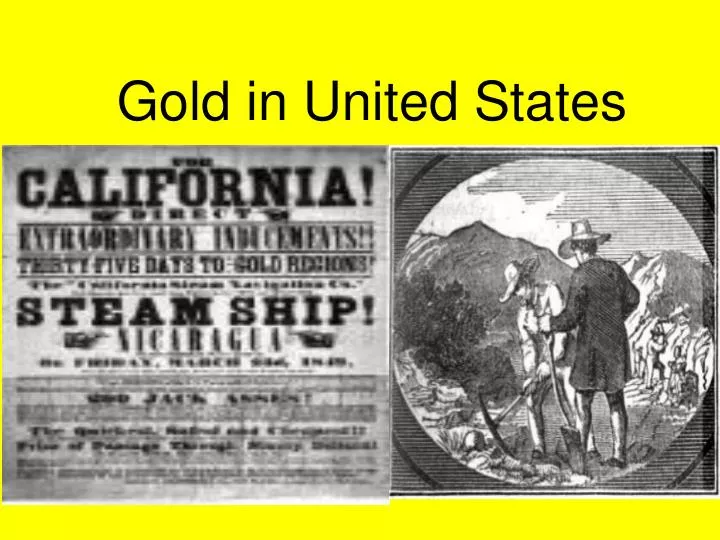 gold in united states