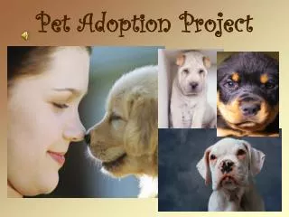 Pet Adoption Project