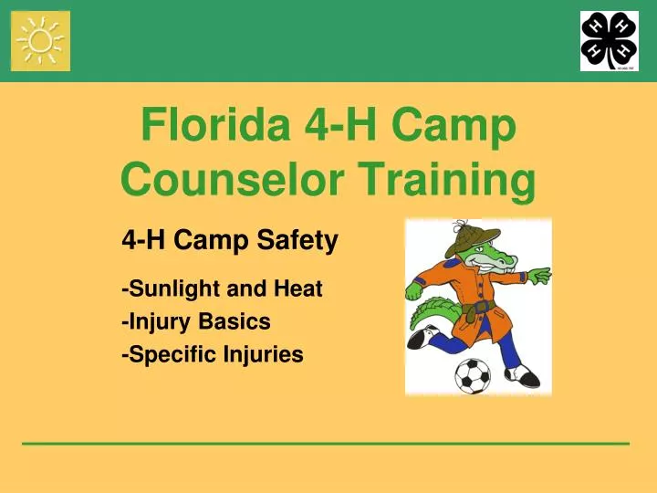 florida 4 h camp counselor training