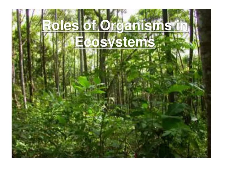 roles of organisms in ecosystems