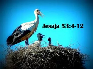 jesaja 53 4 12