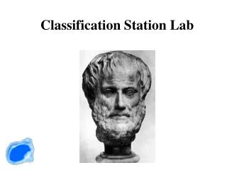 Classification Station Lab