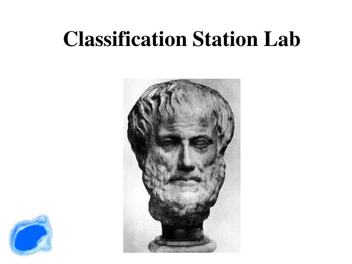 classification station lab