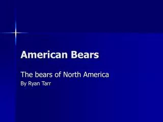 American Bears