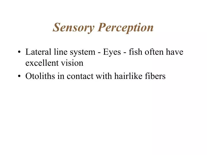 sensory perception