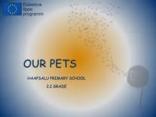 OUR PETS