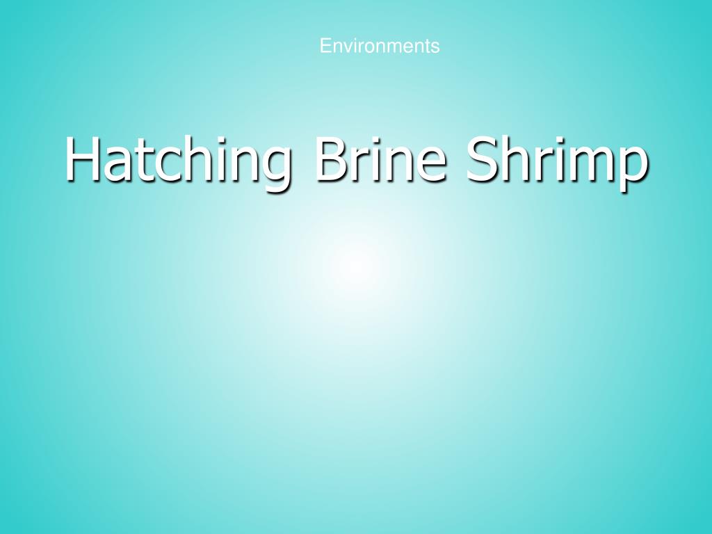 PPT - Hatching Brine Shrimp PowerPoint Presentation, free download - ID ...