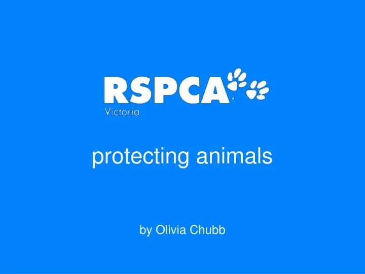 protecting animals by olivia c hubb