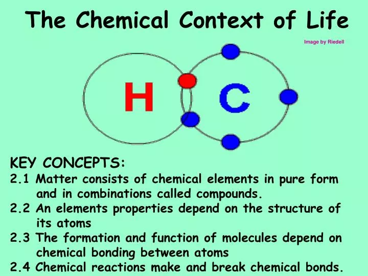 the chemical context of life