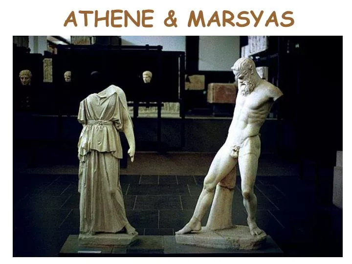 athene marsyas