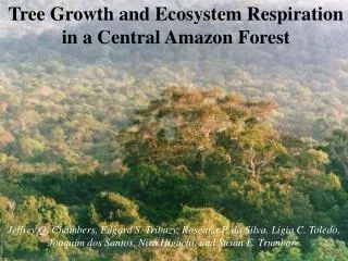 Tree Growth and Ecosystem Respiration in a Central Amazon Forest