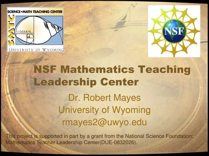 nsf mathematics teaching leadership center