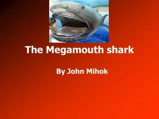 The Megamouth shark
